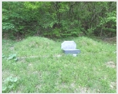  2025Ÿ��196  ����