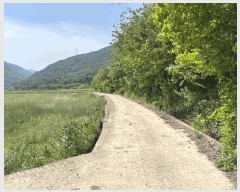  2025Ÿ��205  ����