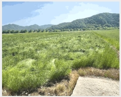  2025Ÿ��205  ����