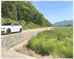  2025Ÿ��205  ����