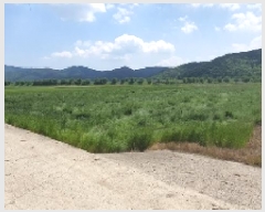  2025Ÿ��205  ����