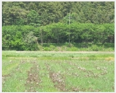  2025Ÿ��205  ����