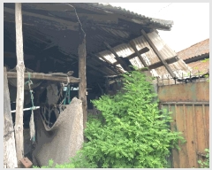  2025Ÿ��214  ���ð��