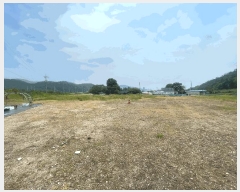  2025Ÿ��231  �����