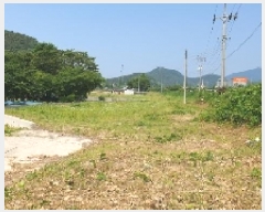  2025Ÿ��231  �����