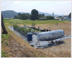  2025Ÿ��231  �����