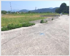  2025Ÿ��231  �����