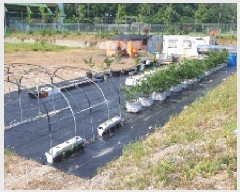  2025Ÿ��231  �����