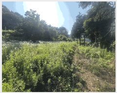  2025Ÿ��239 �泲 â���� ���������� ����� ������ 941-2     ����(��1)���