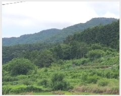  2025Ÿ��239 �泲 â���� ���������� ����� ������ 941-2     ����(��1)���