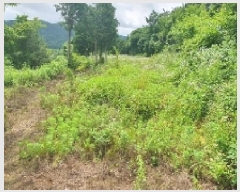  2025Ÿ��239 �泲 â���� ���������� ����� ������ 941-2     ����(��1)���