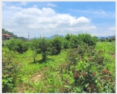  2025Ÿ��246 �泲 �Ծȱ� ������ �꼭�� 684-897      ����(��)���