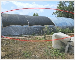  2025Ÿ��246 �泲 �Ծȱ� ������ �꼭�� 684-897      ����(��)���