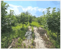  2025Ÿ��246 �泲 �Ծȱ� ������ �꼭�� 684-897      ����(��)���