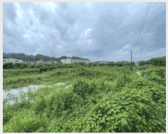  2025Ÿ��253  �����