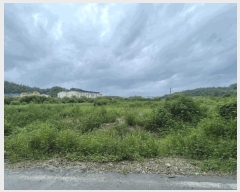  2025Ÿ��253  �����