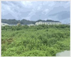  2025Ÿ��253  �����