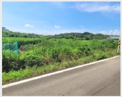  2025Ÿ��253  �����