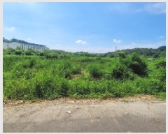  2025Ÿ��253  �����