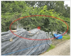  2025Ÿ��261 �泲 �Ծȱ� ���ϸ� ���̸� ��140-1      ����(�Ӿ�)���