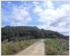  2025Ÿ��261 �泲 �Ծȱ� ���ϸ� ���̸� ��140-1      ����(�Ӿ�)���