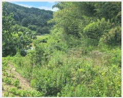  2025Ÿ��263 �泲 �Ƿɱ� ������ ��Ҹ� 608      ����(��)���