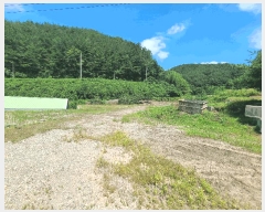  2025Ÿ��263 �泲 �Ƿɱ� ������ ��Ҹ� 608      ����(��)���