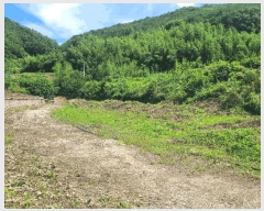  2025Ÿ��263 �泲 �Ƿɱ� ������ ��Ҹ� 608      ����(��)���