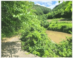  2025Ÿ��263 �泲 �Ƿɱ� ������ ��Ҹ� 608      ����(��)���