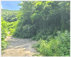  2025Ÿ��263 �泲 �Ƿɱ� ������ ��Ҹ� 608      ����(��)���