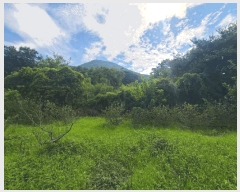  2025Ÿ��280  �����