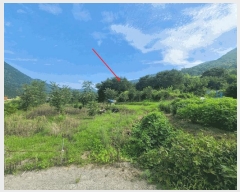  2025Ÿ��280  �����