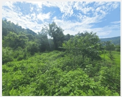  2025Ÿ��280  �����