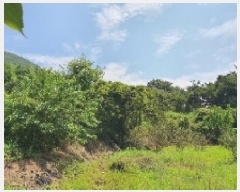  2025Ÿ��280  �����