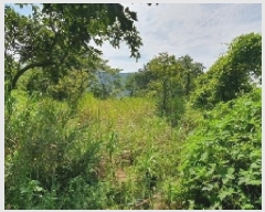  2025Ÿ��280  �����