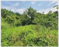  2025Ÿ��280  �����