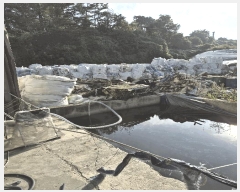  2025Ÿ��301 �泲 �Ծȱ� ������ ���ܸ� 1563-6      ������