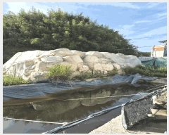  2025Ÿ��301 �泲 �Ծȱ� ������ ���ܸ� 1563-6      ������