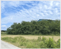  2025Ÿ��305 �泲 �Ծȱ� ���� �ϱ⸮ 173-5      ����(�������)���