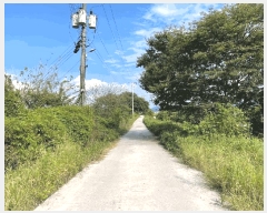  2025Ÿ��305 �泲 �Ծȱ� ���� �ϱ⸮ 173-5      ����(�������)���