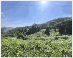  2025Ÿ��310 �泲 �Ƿɱ� �θ��� ���ϸ� ��82-6      ����(�Ӿ�)���