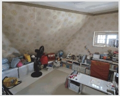  2025Ÿ20303 泲 â  ڻ꼭10 63, 9901ȣ (ڻ굿,Ʈ)    Ʈ