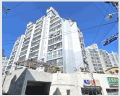  2025Ÿ20303 泲 â  ڻ꼭10 63, 9901ȣ (ڻ굿,Ʈ)    Ʈ