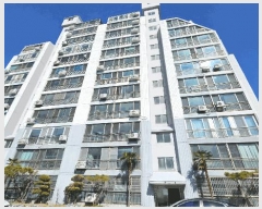  2025Ÿ20303 泲 â  ڻ꼭10 63, 9901ȣ (ڻ굿,Ʈ)    Ʈ