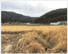  2025Ÿ��20391 �泲 â���� ���������� ������ �̸��� 211-1     ����(��)���