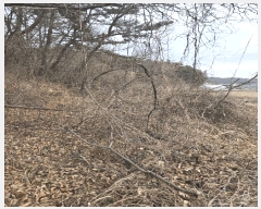  2025Ÿ��20431 �泲 �Ծȱ� ������ ������ 45      ����(����)���