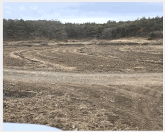  2025Ÿ��20431 �泲 �Ծȱ� ������ ������ 45      ����(����)���