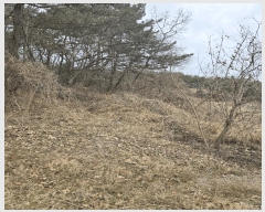  2025Ÿ��20431 �泲 �Ծȱ� ������ ������ 45      ����(����)���