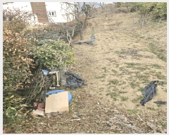  2025Ÿ��20431 �泲 �Ծȱ� ������ ������ 45      ����(����)���