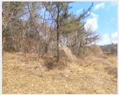  2025Ÿ��20431 �泲 �Ծȱ� ������ ������ 45      ����(����)���